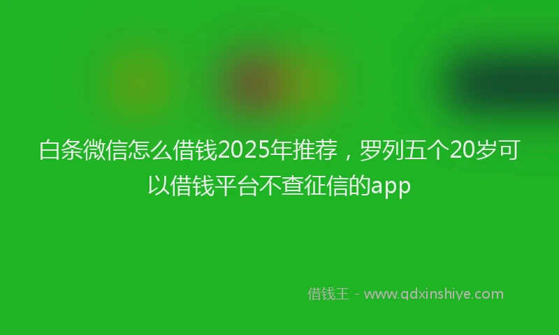 白条微信怎么借钱2025年推荐，罗列五个20岁可以借钱平台不查征信的app