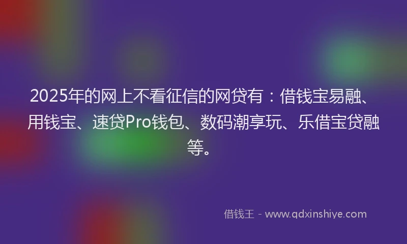 2025年的网上不看征信的网贷有：借钱宝易融、用钱宝、速贷Pro钱包、数码潮享玩、乐借宝贷融等。