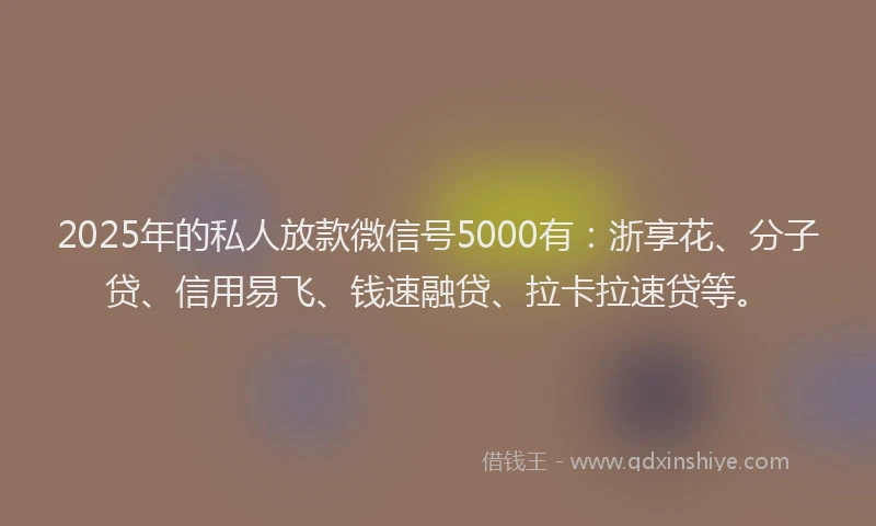 2025年的私人放款微信号5000有：浙享花、分子贷、信用易飞、钱速融贷、拉卡拉速贷等。