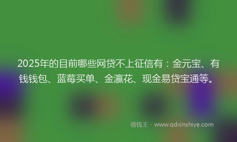 2025年的目前哪些网贷不上征信有：金元宝、有钱钱包、蓝莓买单、金瀛花、现金易贷宝通等。