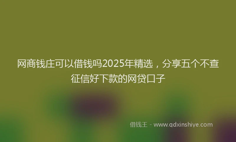 网商钱庄可以借钱吗2025年精选，分享五个不查征信好下款的网贷口子