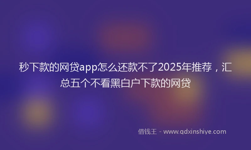 秒下款的网贷app怎么还款不了2025年推荐，汇总五个不看黑白户下款的网贷