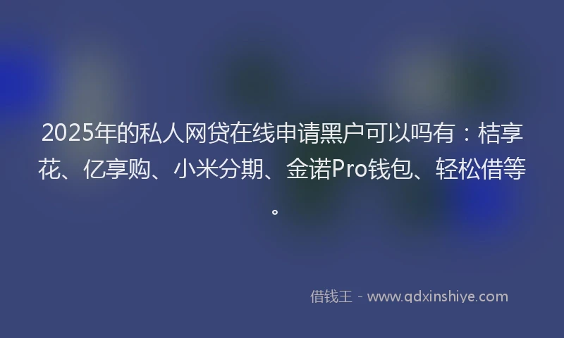 2025年的私人网贷在线申请黑户可以吗有：桔享花、亿享购、小米分期、金诺Pro钱包、轻松借等。