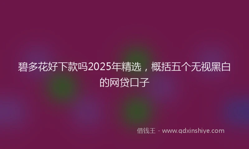 碧多花好下款吗2025年精选，概括五个无视黑白的网贷口子