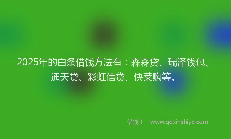 2025年的白条借钱方法有：森森贷、瑞泽钱包、通天贷、彩虹信贷、快莱购等。