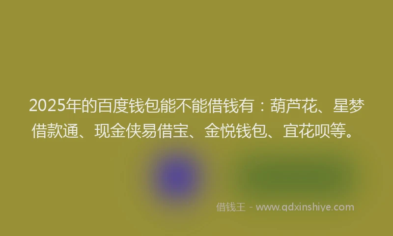 2025年的百度钱包能不能借钱有：葫芦花、星梦借款通、现金侠易借宝、金悦钱包、宜花呗等。