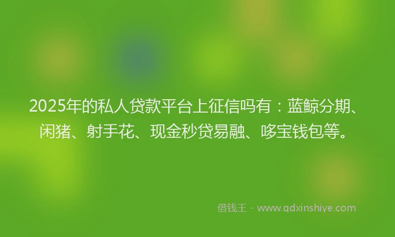 2025年的私人贷款平台上征信吗有：蓝鲸分期、闲猪、射手花、现金秒贷易融、哆宝钱包等。