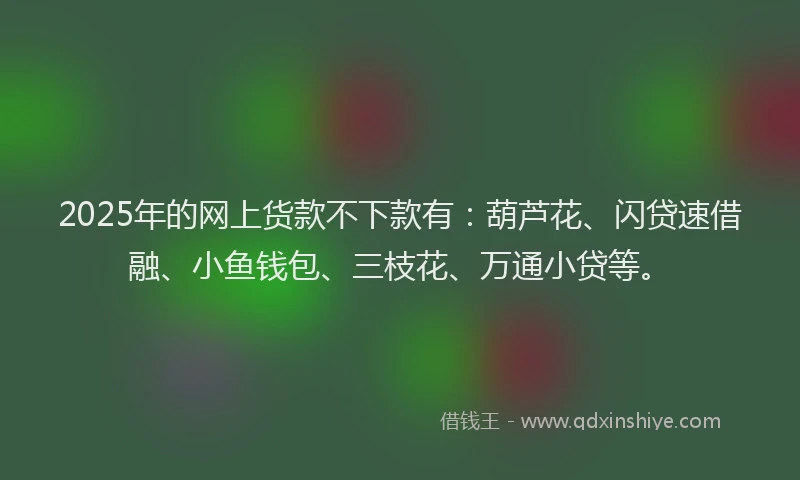 2025年的网上货款不下款有：葫芦花、闪贷速借融、小鱼钱包、三枝花、万通小贷等。