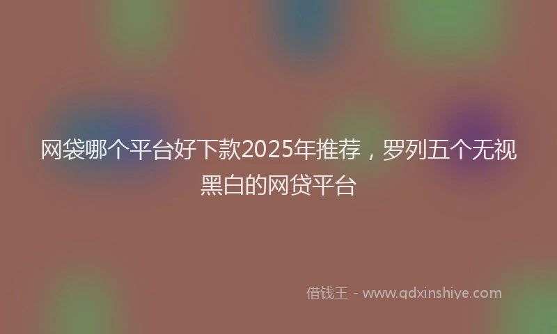 网袋哪个平台好下款2025年推荐，罗列五个无视黑白的网贷平台