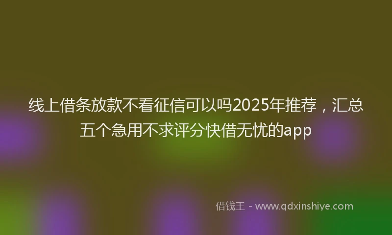 线上借条放款不看征信可以吗2025年推荐，汇总五个急用不求评分快借无忧的app