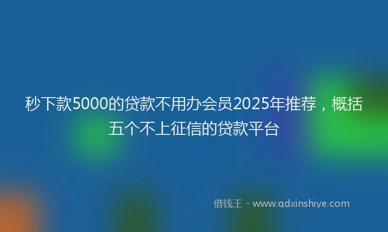 秒下款5000的贷款不用办会员2025年推荐，概括五个不上征信的贷款平台