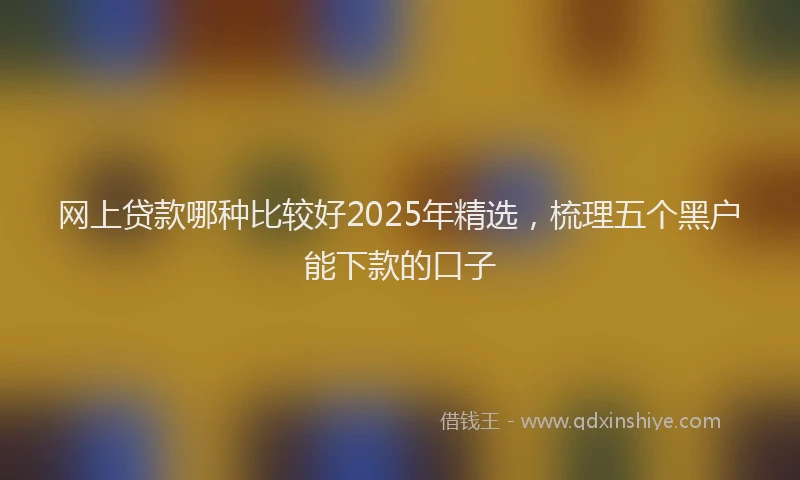 网上贷款哪种比较好2025年精选，梳理五个黑户能下款的口子