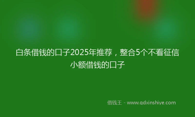白条借钱的口子2025年推荐，整合5个不看征信小额借钱的口子