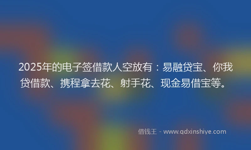 2025年的电子签借款人空放有：易融贷宝、你我贷借款、携程拿去花、射手花、现金易借宝等。