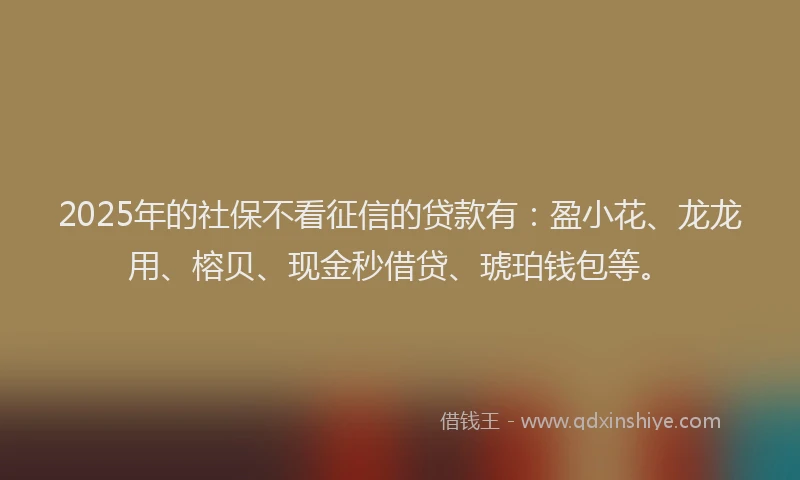 2025年的社保不看征信的贷款有：盈小花、龙龙用、榕贝、现金秒借贷、琥珀钱包等。