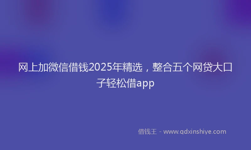 网上加微信借钱2025年精选，整合五个网贷大口子轻松借app