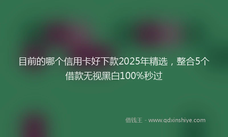 目前的哪个信用卡好下款2025年精选，整合5个借款无视黑白100%秒过
