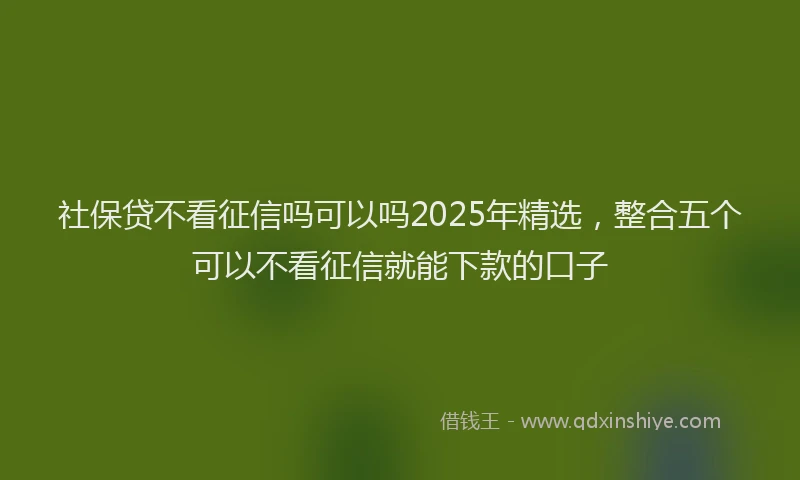 社保贷不看征信吗可以吗2025年精选，整合五个可以不看征信就能下款的口子