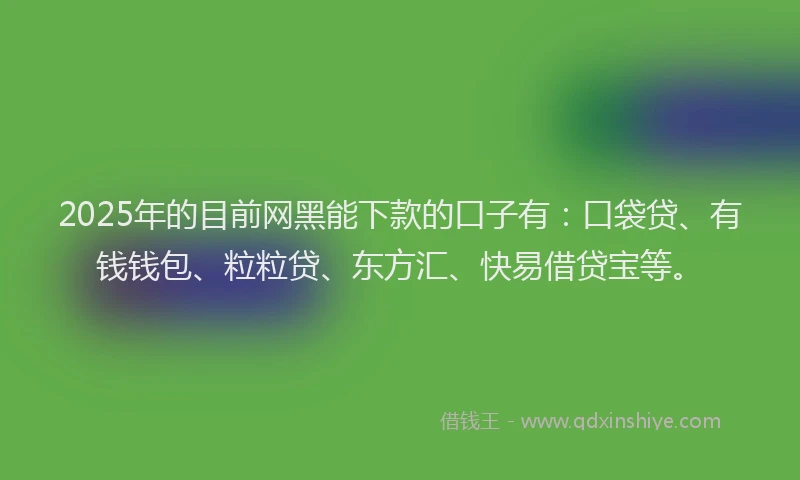 2025年的目前网黑能下款的口子有：口袋贷、有钱钱包、粒粒贷、东方汇、快易借贷宝等。