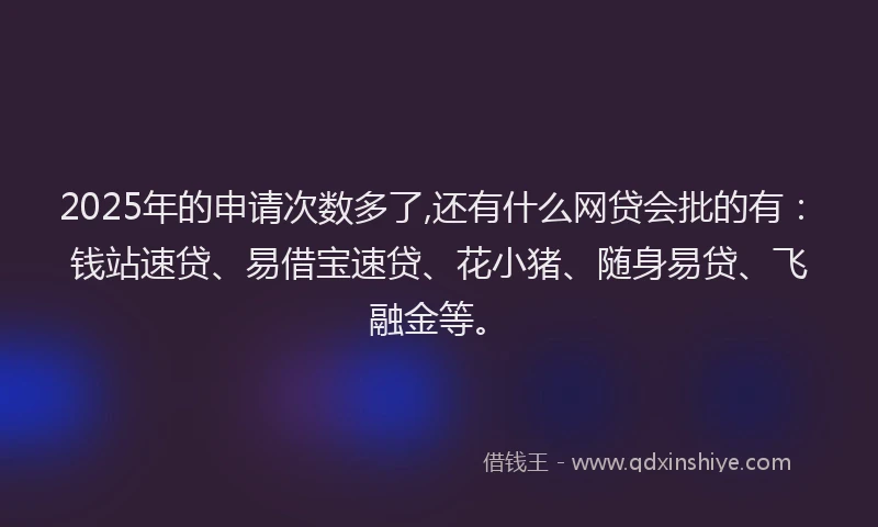 2025年的申请次数多了,还有什么网贷会批的有：钱站速贷、易借宝速贷、花小猪、随身易贷、飞融金等。