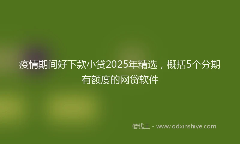 疫情期间好下款小贷2025年精选，概括5个分期有额度的网贷软件