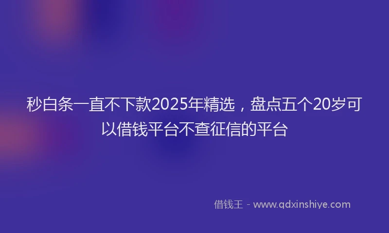 秒白条一直不下款2025年精选，盘点五个20岁可以借钱平台不查征信的平台