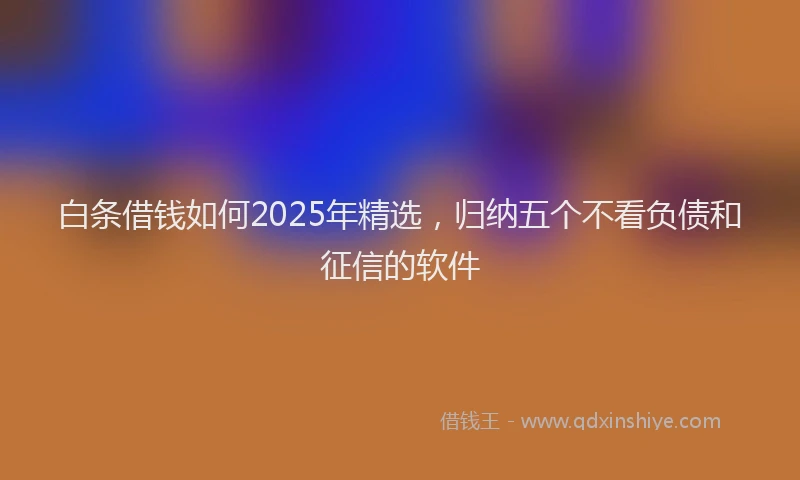 白条借钱如何2025年精选，归纳五个不看负债和征信的软件