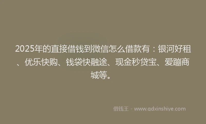 2025年的直接借钱到微信怎么借款有：银河好租、优乐快购、钱袋快融途、现金秒贷宝、爱蹦商城等。