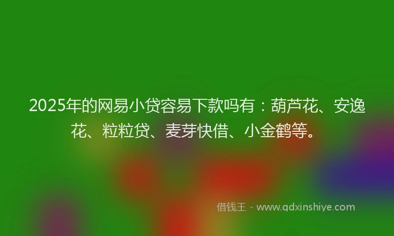 2025年的网易小贷容易下款吗有：葫芦花、安逸花、粒粒贷、麦芽快借、小金鹤等。