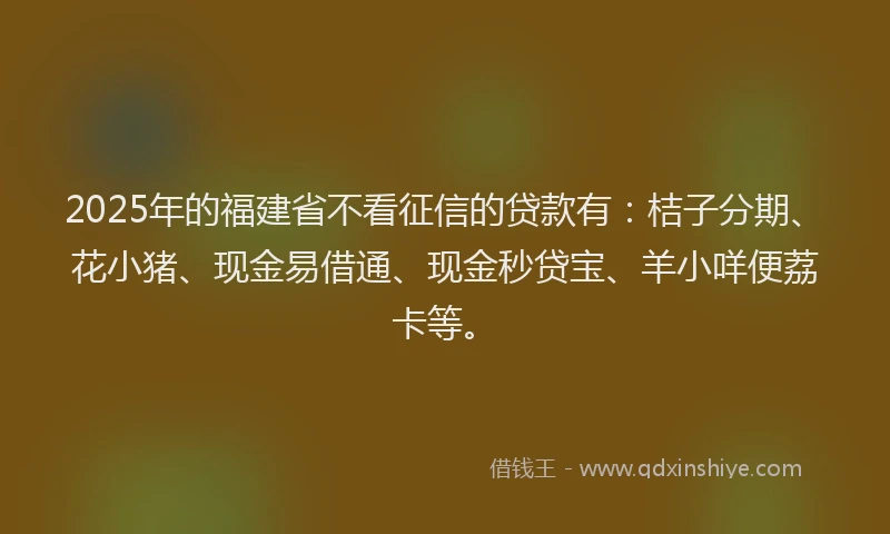 2025年的福建省不看征信的贷款有：桔子分期、花小猪、现金易借通、现金秒贷宝、羊小咩便荔卡等。