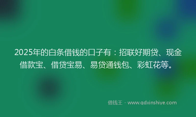 2025年的白条借钱的口子有：招联好期贷、现金借款宝、借贷宝易、易贷通钱包、彩虹花等。