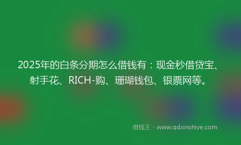 2025年的白条分期怎么借钱有：现金秒借贷宝、射手花、RICH-购、珊瑚钱包、银票网等。