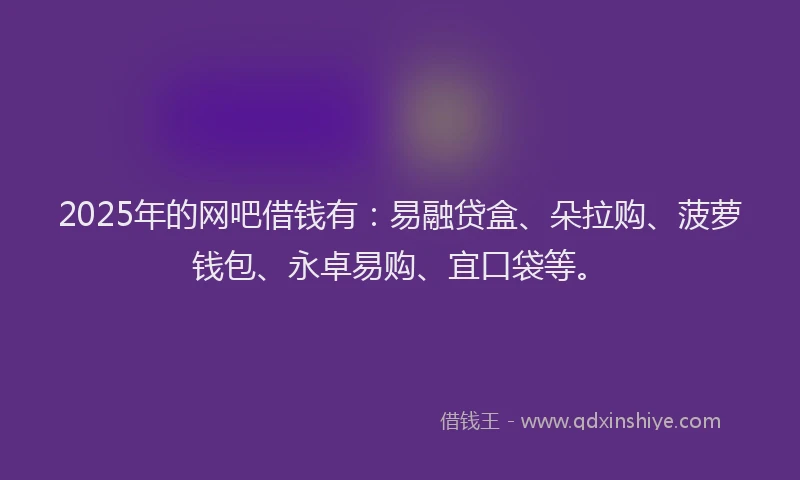 2025年的网吧借钱有：易融贷盒、朵拉购、菠萝钱包、永卓易购、宜口袋等。