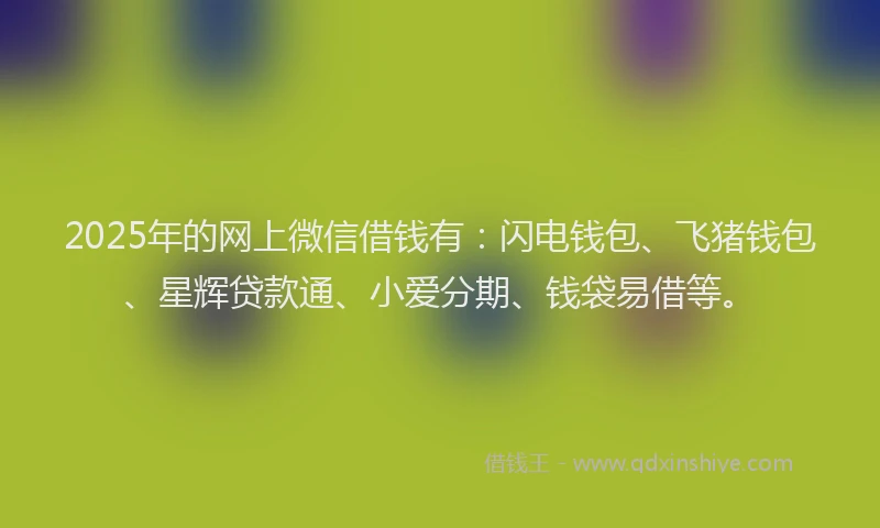 2025年的网上微信借钱有：闪电钱包、飞猪钱包、星辉贷款通、小爱分期、钱袋易借等。