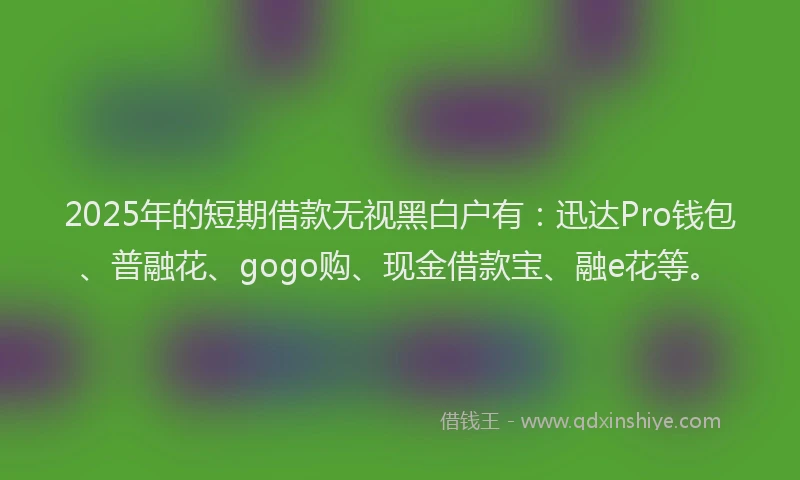 2025年的短期借款无视黑白户有：迅达Pro钱包、普融花、gogo购、现金借款宝、融e花等。