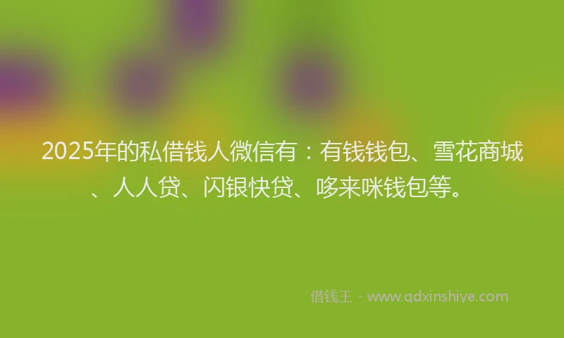 2025年的私借钱人微信有：有钱钱包、雪花商城、人人贷、闪银快贷、哆来咪钱包等。
