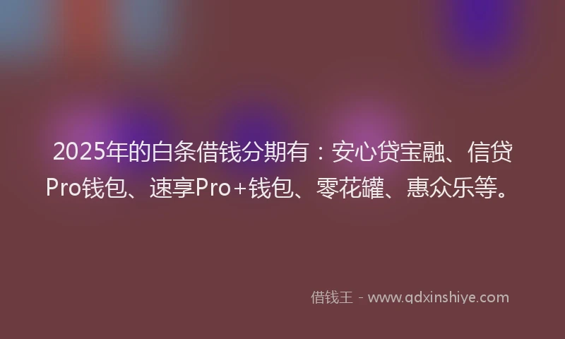 2025年的白条借钱分期有：安心贷宝融、信贷Pro钱包、速享Pro+钱包、零花罐、惠众乐等。