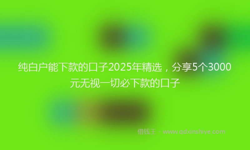 纯白户能下款的口子2025年精选，分享5个3000元无视一切必下款的口子