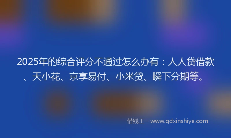 2025年的综合评分不通过怎么办有：人人贷借款、天小花、京享易付、小米贷、瞬下分期等。