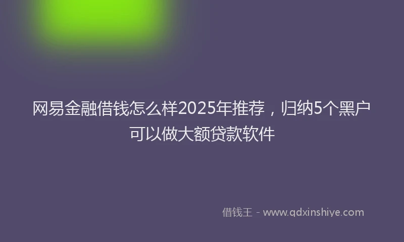 网易金融借钱怎么样2025年推荐，归纳5个黑户可以做大额贷款软件