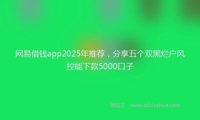 网易借钱app2025年推荐，分享五个双黑烂户风控能下款5000口子
