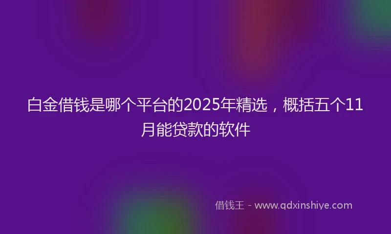 白金借钱是哪个平台的2025年精选，概括五个11月能贷款的软件
