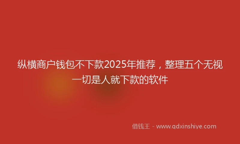 纵横商户钱包不下款2025年推荐，整理五个无视一切是人就下款的软件