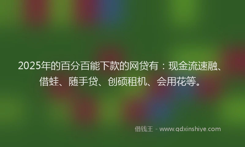 2025年的百分百能下款的网贷有：现金流速融、借蛙、随手贷、创硕租机、会用花等。