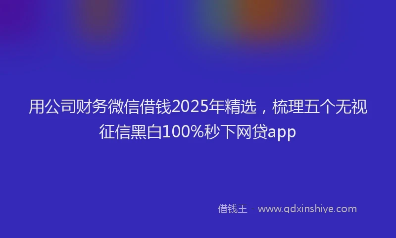 用公司财务微信借钱2025年精选，梳理五个无视征信黑白100%秒下网贷app