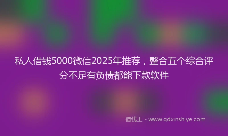 私人借钱5000微信2025年推荐，整合五个综合评分不足有负债都能下款软件