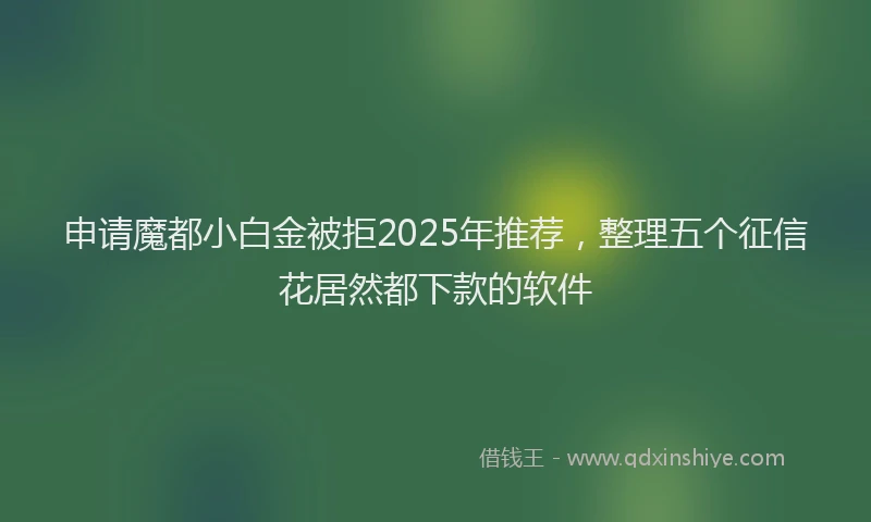申请魔都小白金被拒2025年推荐，整理五个征信花居然都下款的软件