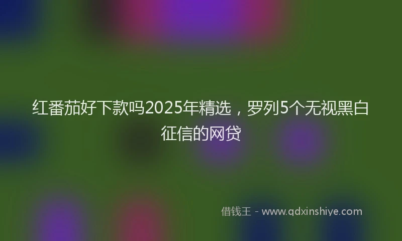 红番茄好下款吗2025年精选，罗列5个无视黑白征信的网贷