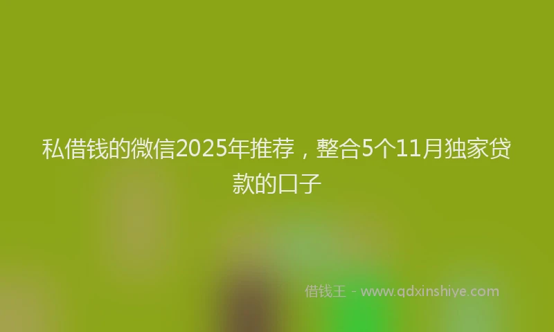 私借钱的微信2025年推荐，整合5个11月独家贷款的口子