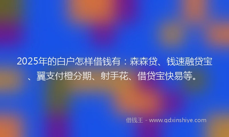 2025年的白户怎样借钱有：森森贷、钱速融贷宝、翼支付橙分期、射手花、借贷宝快易等。